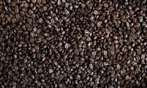 Pile of richly dark roasted coffee beans filling the frame, showcasing texture and deep brown colors for premium coffee brands.