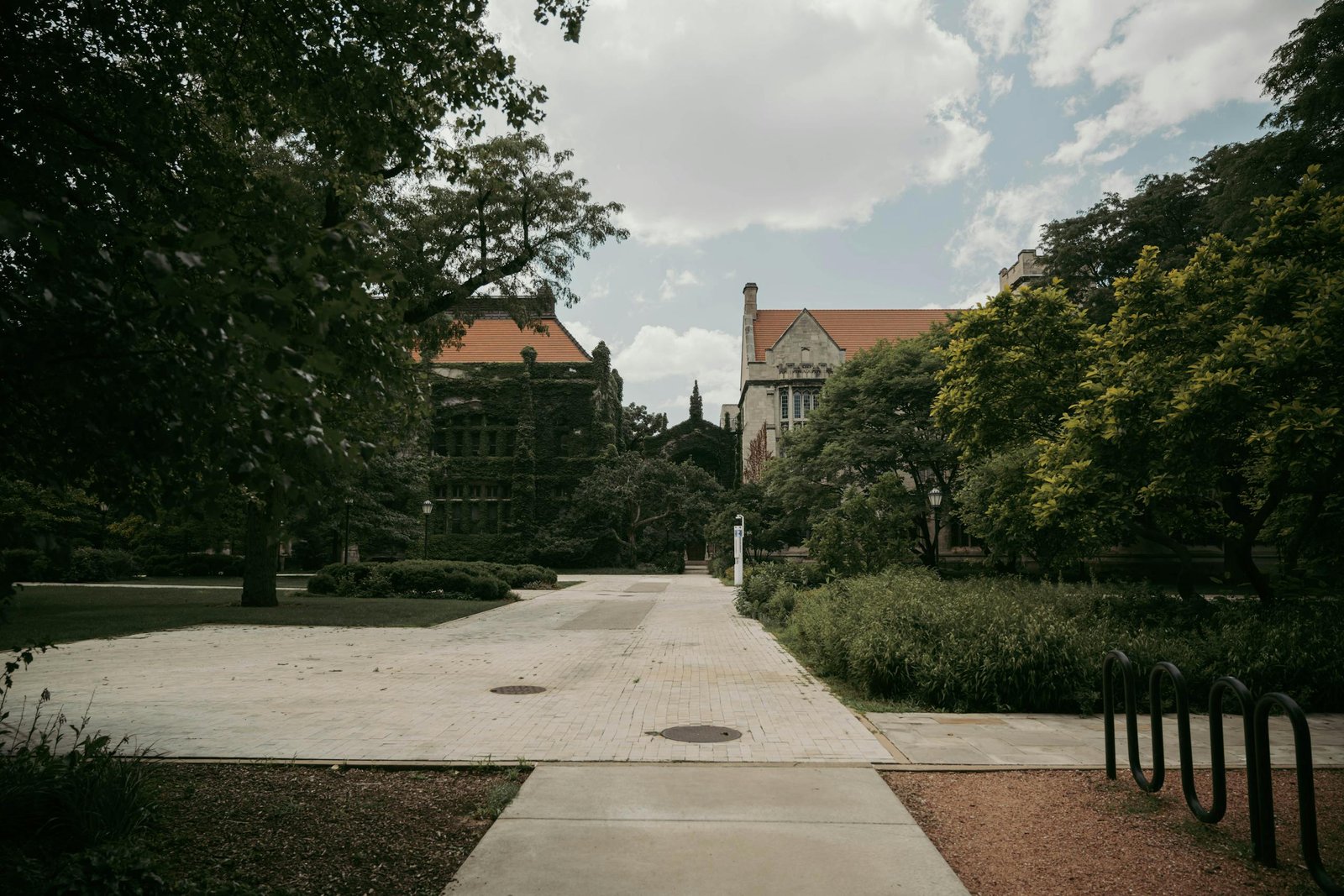 Comprehensive Guide to CUET 2023 Syllabus: A Path to Academic Excellence