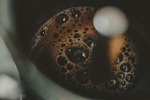 The Bunn Coffee Maker won't leave a bitter taste in your mouth