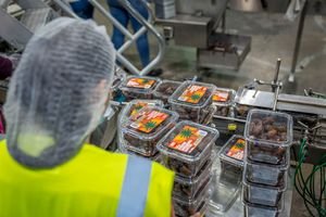 Get To Know the Best Company That Produce Standard Halal Food Products